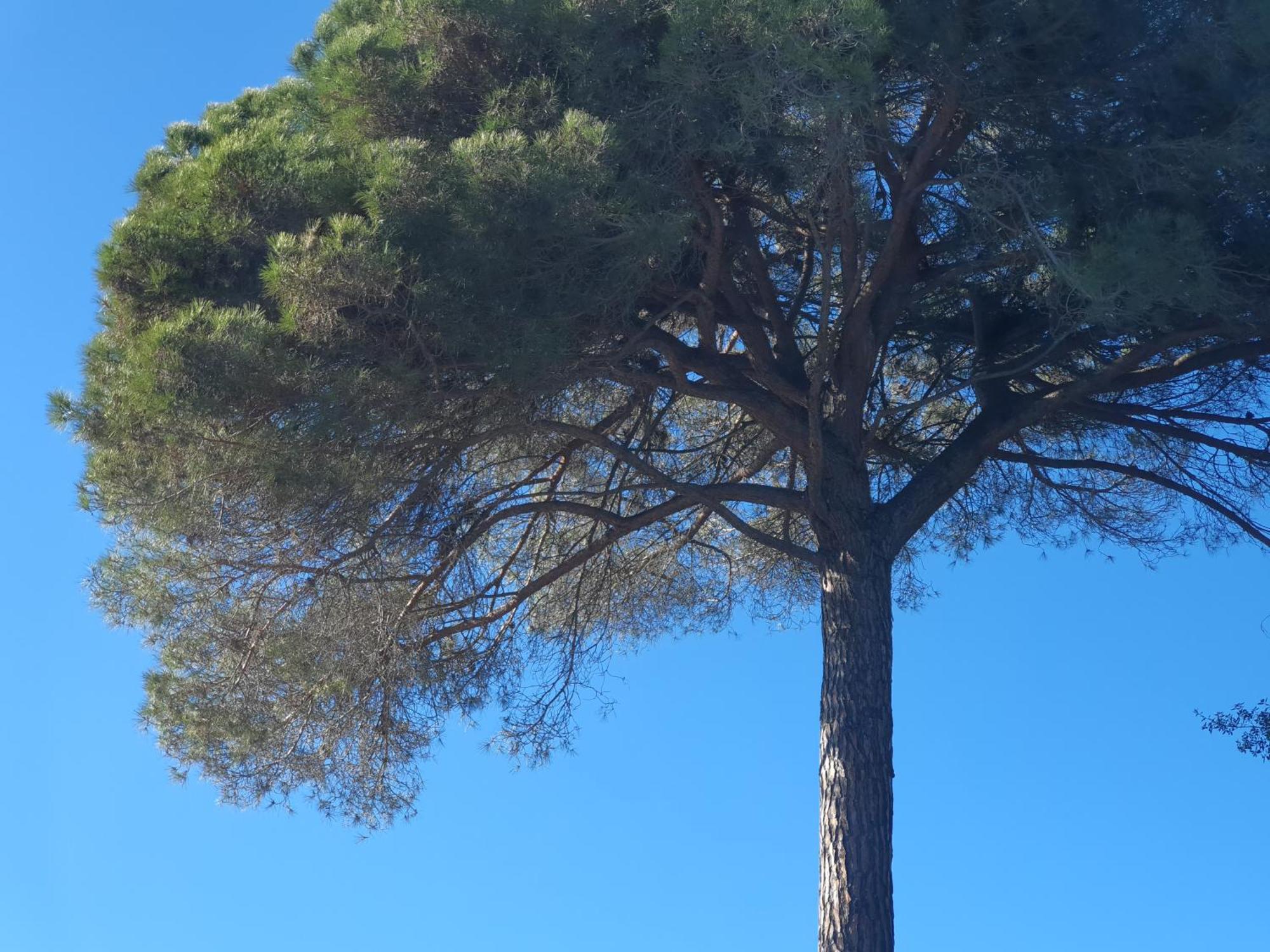 Spa Ibiza Dosrius Canyamas Bagian luar foto